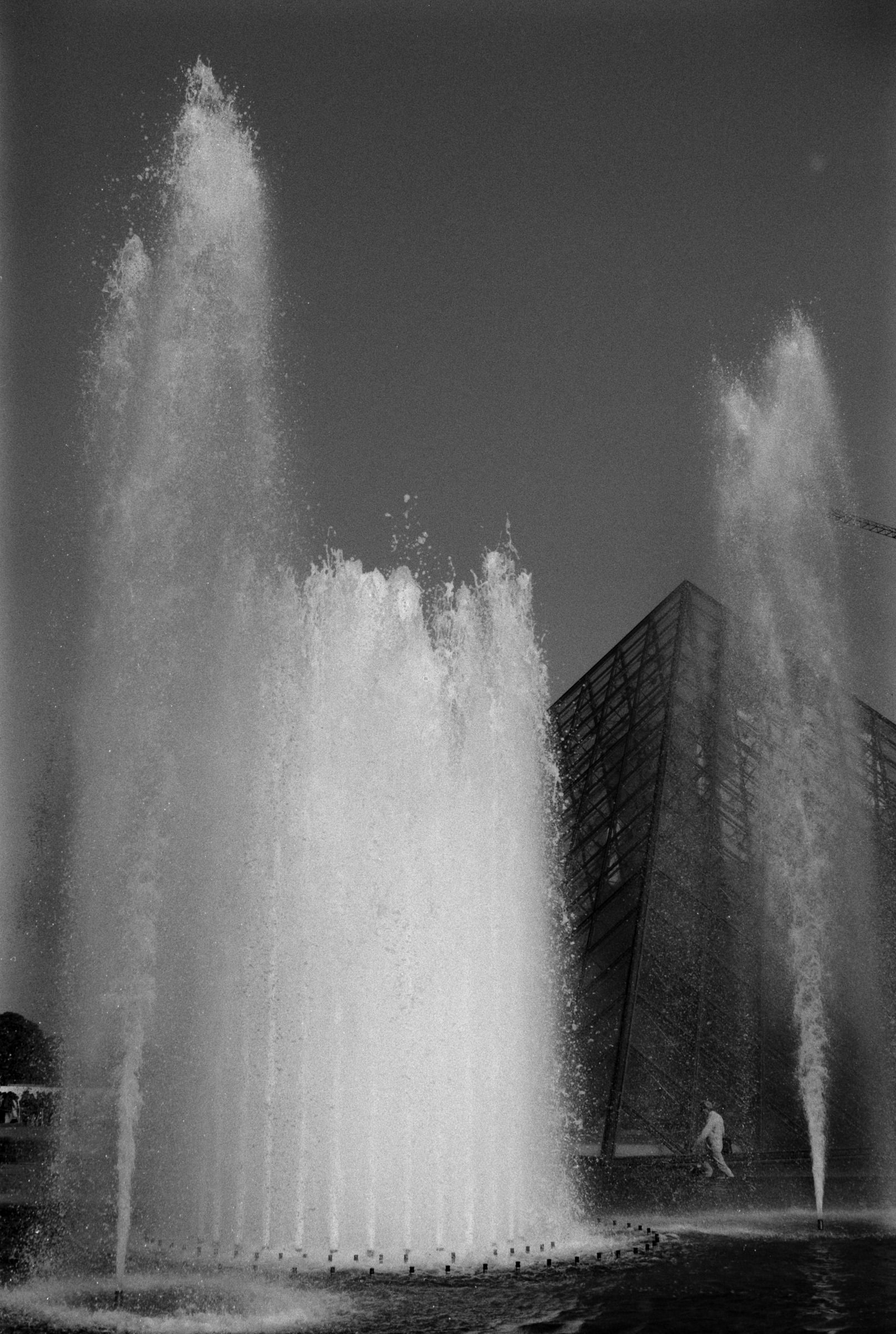 AHP F1990 09 001 sc240801 img04 NLP